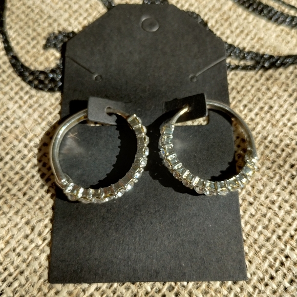 Rhinestone Hoop Earrings - Picture 5 of 13